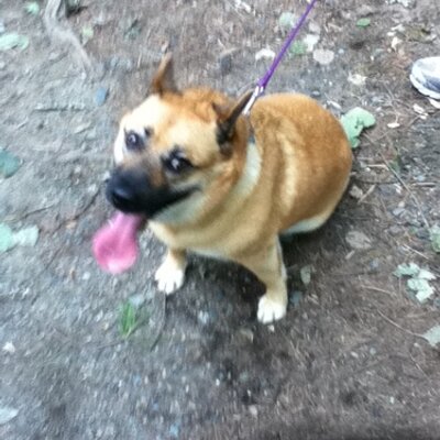 Profile Picture of Joseph Rossignol (@josephrossigno1) on Twitter