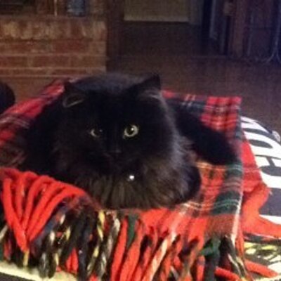 Profile Picture of Carol Woods Winfrey (@CarolWinfrey) on Twitter