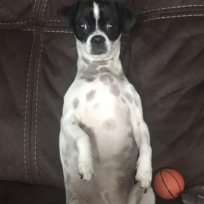 Eli Fisher - Twitter Profile Picture of Eli Fisher (@EliFisher17) on Twitter