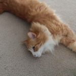 Profile Picture of Aaron Burroughs (@burroughs.aaron) on Instagram