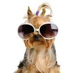 Profile Picture of Josephine Ulibarri (@josephineulibarri) on Instagram