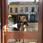 Profile Picture of alisha honey knowles✨ (@alishaknowles__) on Instagram