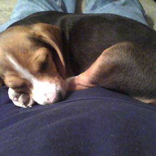 Profile Picture of Mark Dingle (@Mark-Dingle) on Facebook