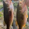 Profile Picture of fishing Brose (@andrewmackley) on Tiktok