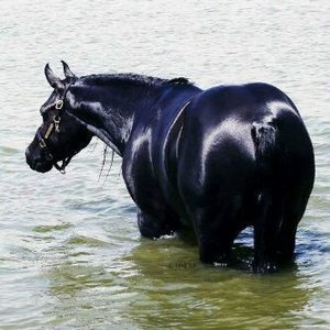 Profile Picture of Maria Chirinos (@maracucha_512) on Myspace