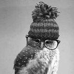 Traci Harrison - Instagram Profile Picture of Traci Harrison (@harrisontraci) on Instagram