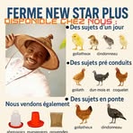 Profile Picture of Benjamin Bodo (@Benjamin-Bodo) on Facebook