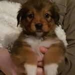 Profile Picture of matthew Collier (@m.collier2007) on Instagram