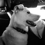 Profile Picture of Gillian Donnelly (@smk_gill) on Instagram