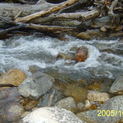 Profile Picture of Brad Tilton (@awsomnes12) on Twitter