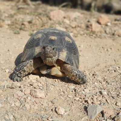 Profile Picture of Alex Avramidis (@Avraalex1990) on Twitter