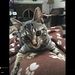 Profile Picture of Nancy Sylvester-Earp (@nancye63) on Pinterest