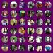 Profile Picture of Roxanne Benoit-Pearson (@benoitpearson) on Pinterest