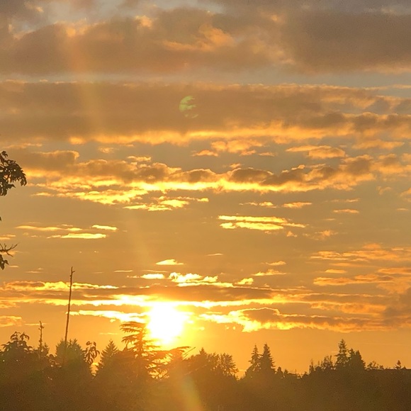 Profile Picture of Erpa Purpa (@erpapurpa96) on Poshmark