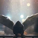 Profile Picture of Ethan Carothers (@cole.ec3) on Instagram