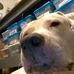 Profile Picture of Kenneth L Kohout Jr. (@Kenneth-L-Kohout-Jr) on Facebook