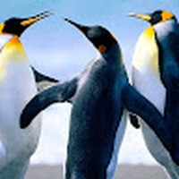 Profile Picture of Jo Russe (@jo-russe) on Quora