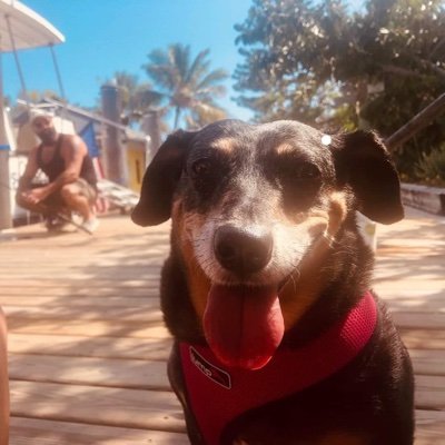 Profile Picture of Mike Pettijohn (@PettijohnMike) on Twitter