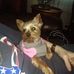 Profile Picture of Phyllis Shackelford (@Phyllis-Shackelford) on Facebook