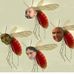 Profile Picture of Paul Cota (@Paul-Cota) on Facebook