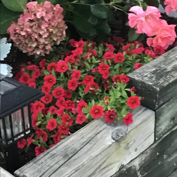 Profile Picture of Debra Meyer (@debra_meyer) on Poshmark