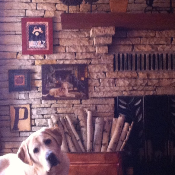 Profile Picture of Krystina Panettieri (@panettierik) on Poshmark