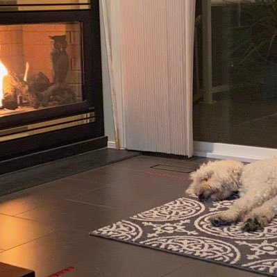 Profile Picture of Janet Perez (@oh_janetp) on Twitter