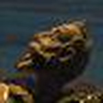 Profile Picture of Antonio Javier (@Antonio Javier) on Flickr