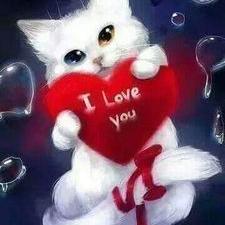 Profile Picture of Omar.jan Jan (@omarjanJan1) on Twitter