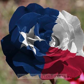 Profile Picture of Imelda Sheppard (@imelda.sheppard.9) on Facebook