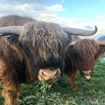 Profile Picture of Neville Duncanson (@neville.duncanson) on Instagram