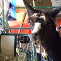 Profile Picture of Terry Shay (@terry-shay-2) on Quora