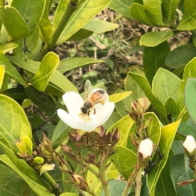 Profile Picture of Hung Chien Yao (@storyi35533) on Twitter