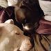 Profile Picture of Brenda Emmons (@brenda.emmons.14) on Facebook