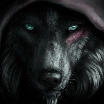 Profile Picture of William Patrick Moor (@William01549326) on Twitter