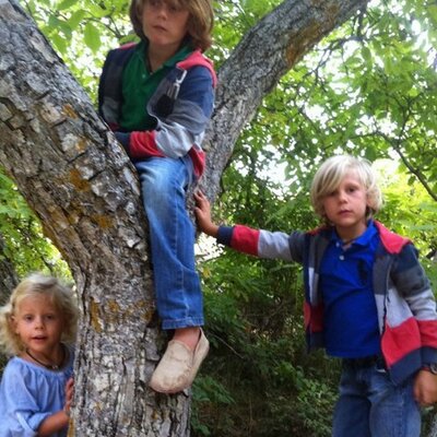 Profile Picture of Javier Hernandoon Twitter