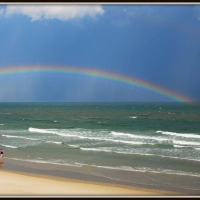 Profile Picture of Marsha Proctor (@MoonDancer1952) on Twitter