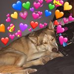 Profile Picture of danielle.coutts (@danielle.coutts) on Instagram