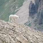 Profile Picture of Brian Tebben (@briantebben) on Instagram