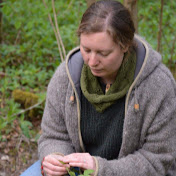 Profile Picture of Laura Carpenter Herbal Educator (@lauracarpenterherbaleducat2182) on Youtube