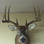 Profile Picture of John hochberg (@jch927) on Instagram