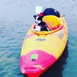 Profile Picture of Charles and Daffy (@daffytheadventuredog) on Instagram