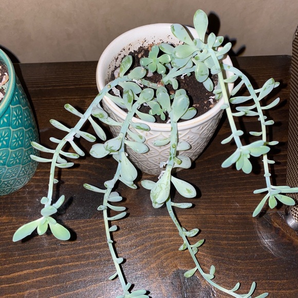 Profile Picture of Cassidy Fischer (@cassidyfisch247) on Poshmark