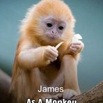 Profile Picture of James Middleton (@james.middleton.3363) on Facebook