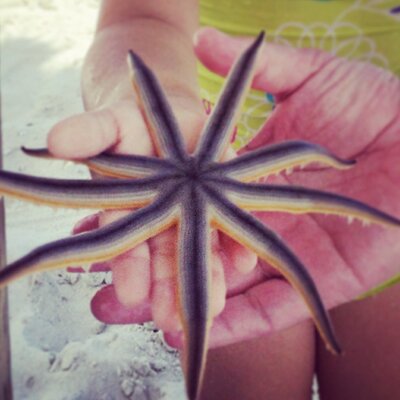 Profile Picture of Mark Bubriski (@bubriski) on Twitter
