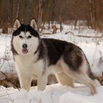 Profile Picture of Michael vasile (@cashcoldkid) on Instagram