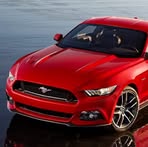 Profile Picture of Kevin de Coninck (@Kevin-de-Coninck) on Facebook