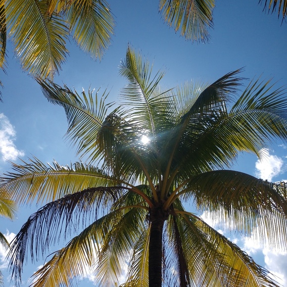 Profile Picture of Sarah Nissen (@nsarah04) on Poshmark