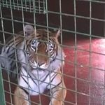 Mark Bateson - Instagram Profile Picture of Mark Bateson (@mark_bateson) on Instagram