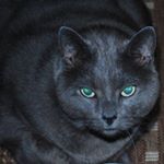 Profile Picture of Margaret Crabtree (@marg.1957) on Instagram